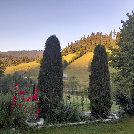 Hotel Casa Ionescu Sadova  Zewnętrze zdjęcie