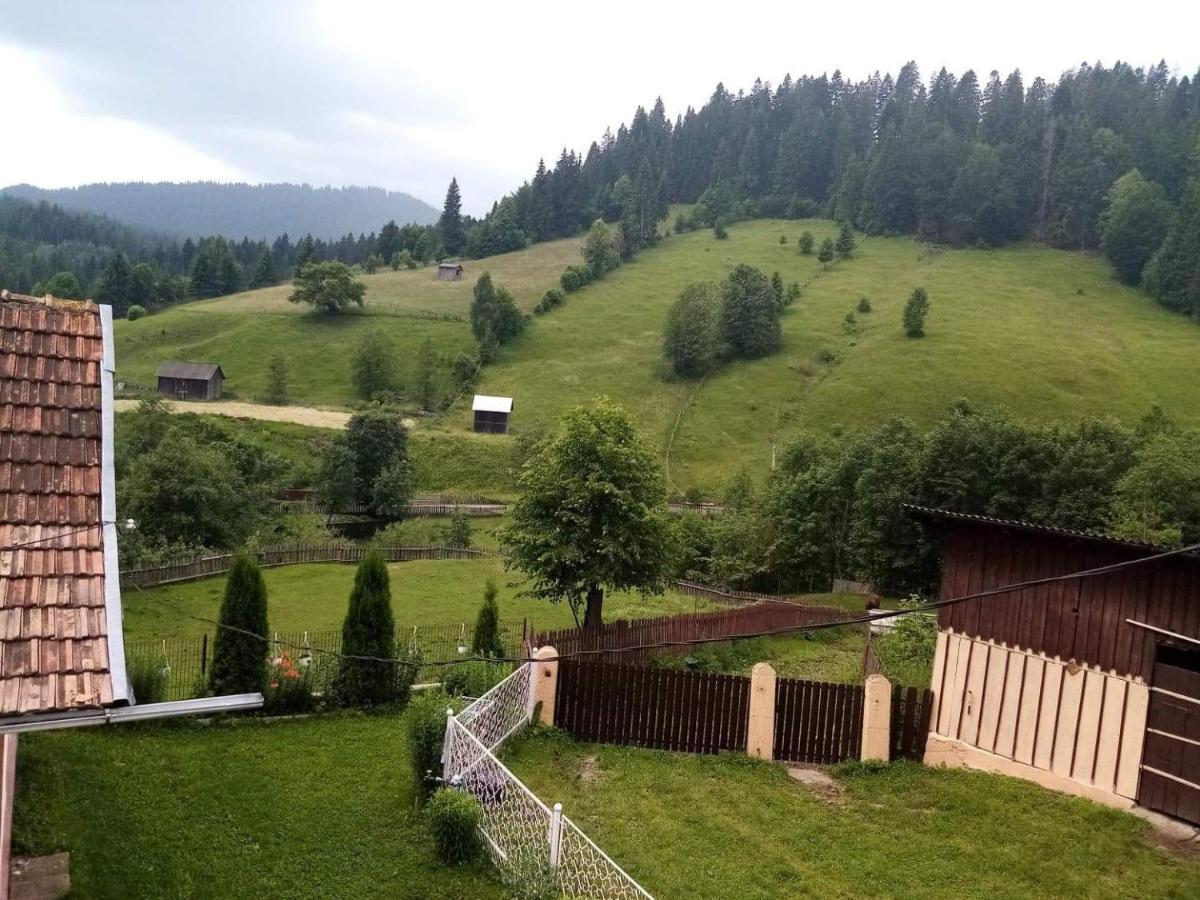 Hotel Casa Ionescu Sadova  Zewnętrze zdjęcie