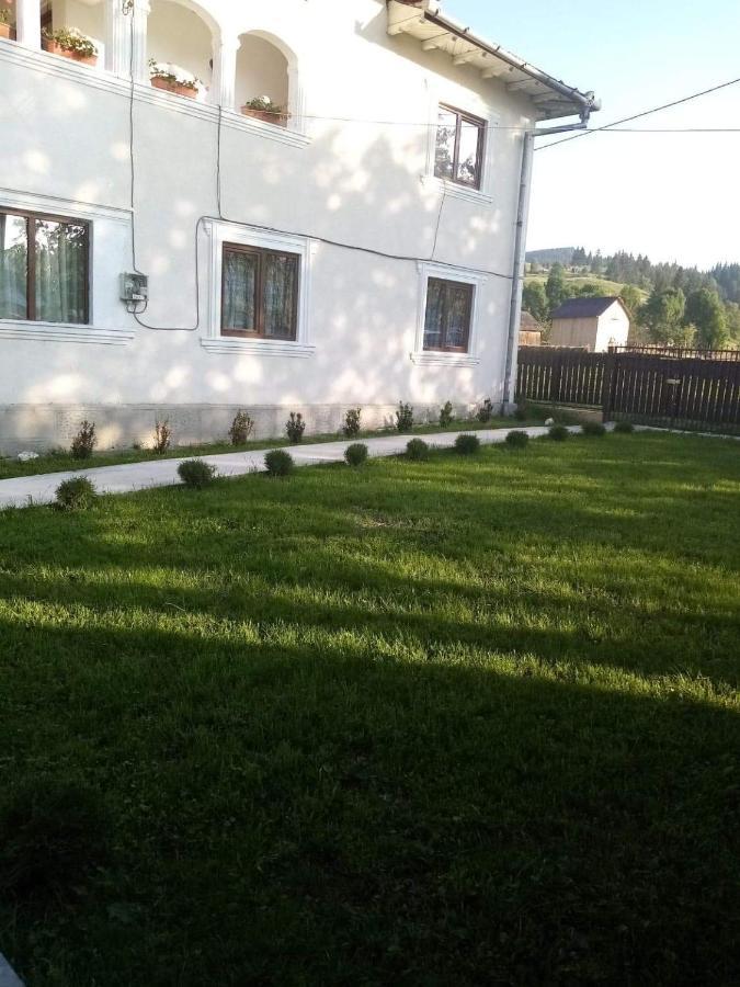 Hotel Casa Ionescu Sadova  Zewnętrze zdjęcie