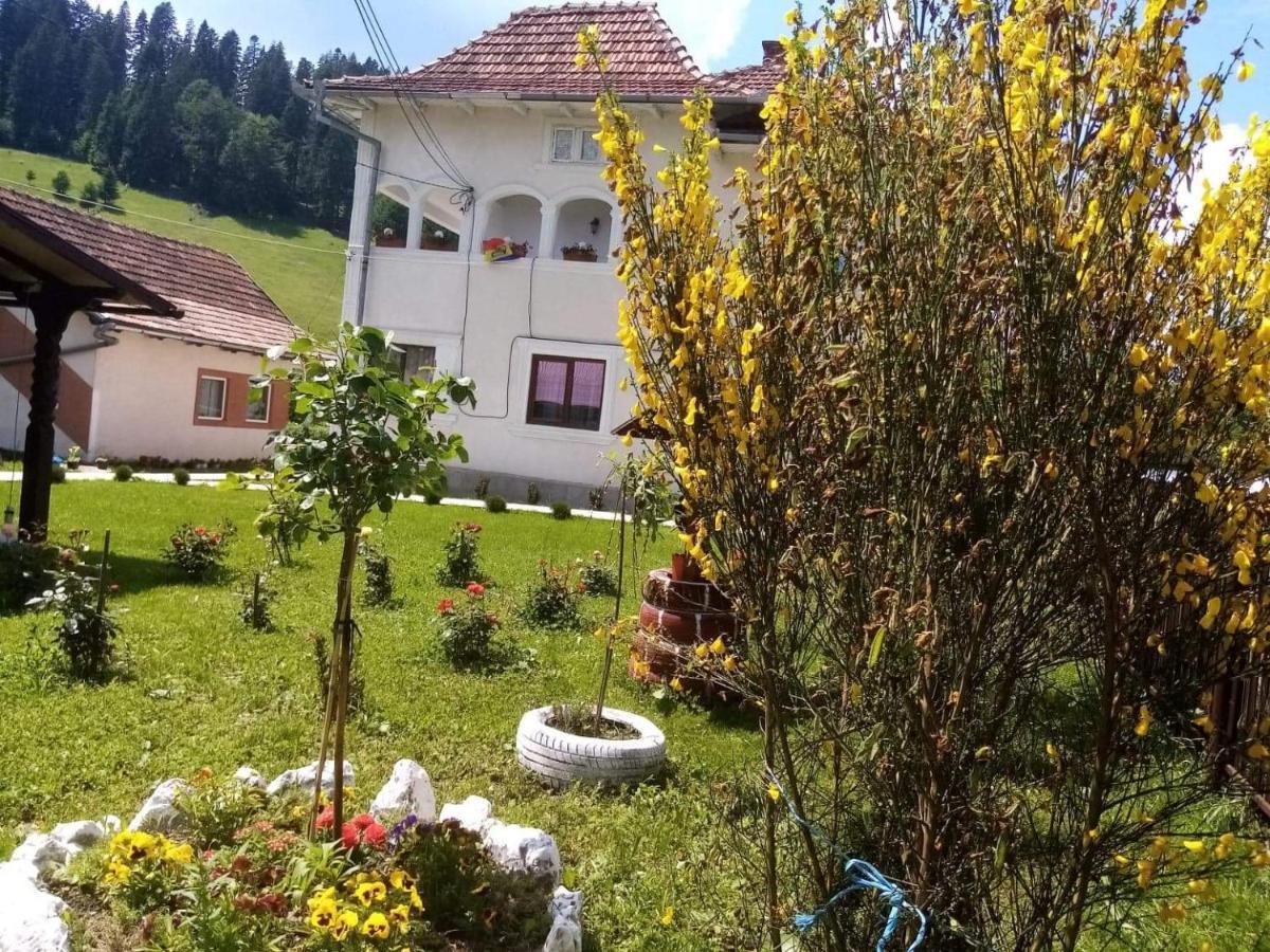 Hotel Casa Ionescu Sadova  Zewnętrze zdjęcie